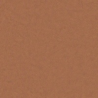 N001 Texas Tan