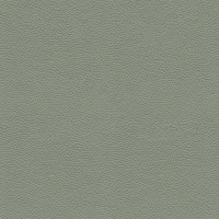 L858 Cambridge Olive
