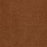 U025 Burnt Umber