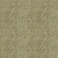 Arcata Moss C.002555-0065