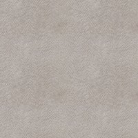 Arcata Oyster C.002555-0041