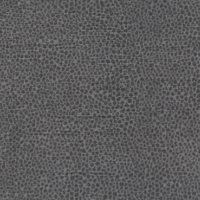 Miro Dusk C.001549-0088