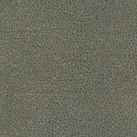 Miro Moss C.001549-0065