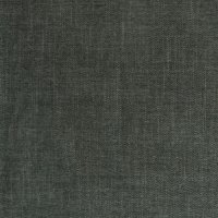 Sierra Conifer B.006034-0065