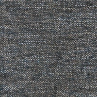 Carolina Thunder Storm