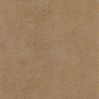Colorado Sand