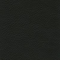 Queensbury Black
