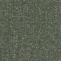 B107 Tela Kelp