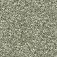 B205 Velloso Kelp