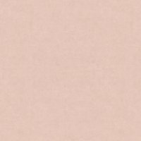 A213 Breeze Rose