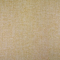 B173 Dune Amber