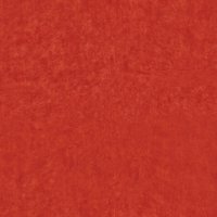 Octavia Coral BO.001563-0018