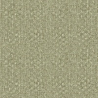 Marni Olive