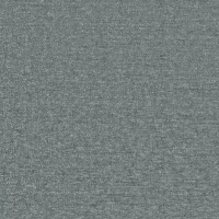 Zael Storm B.001557-0092