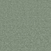 Zael Olive B.001557-0066