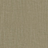 Cole Olive C.001558-0066