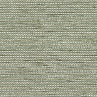 W019 Horizon Seagrass